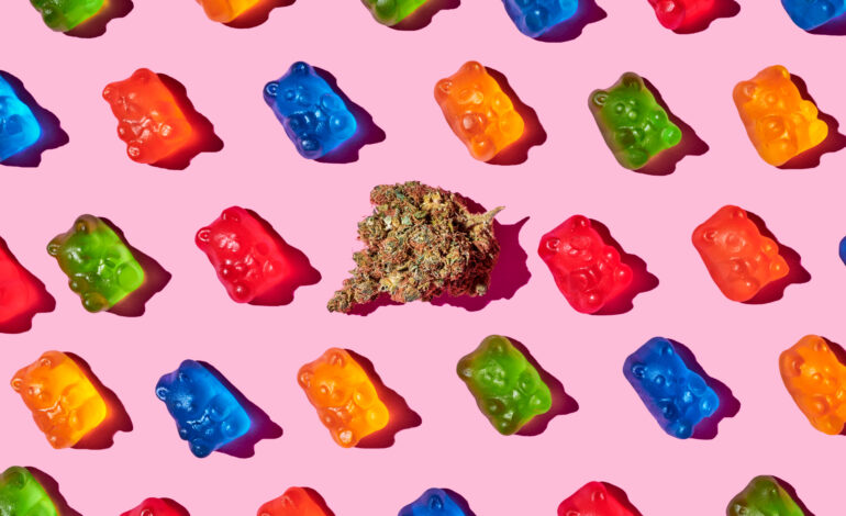 The Truth About Gummy Superfoods: Candy or Cure?