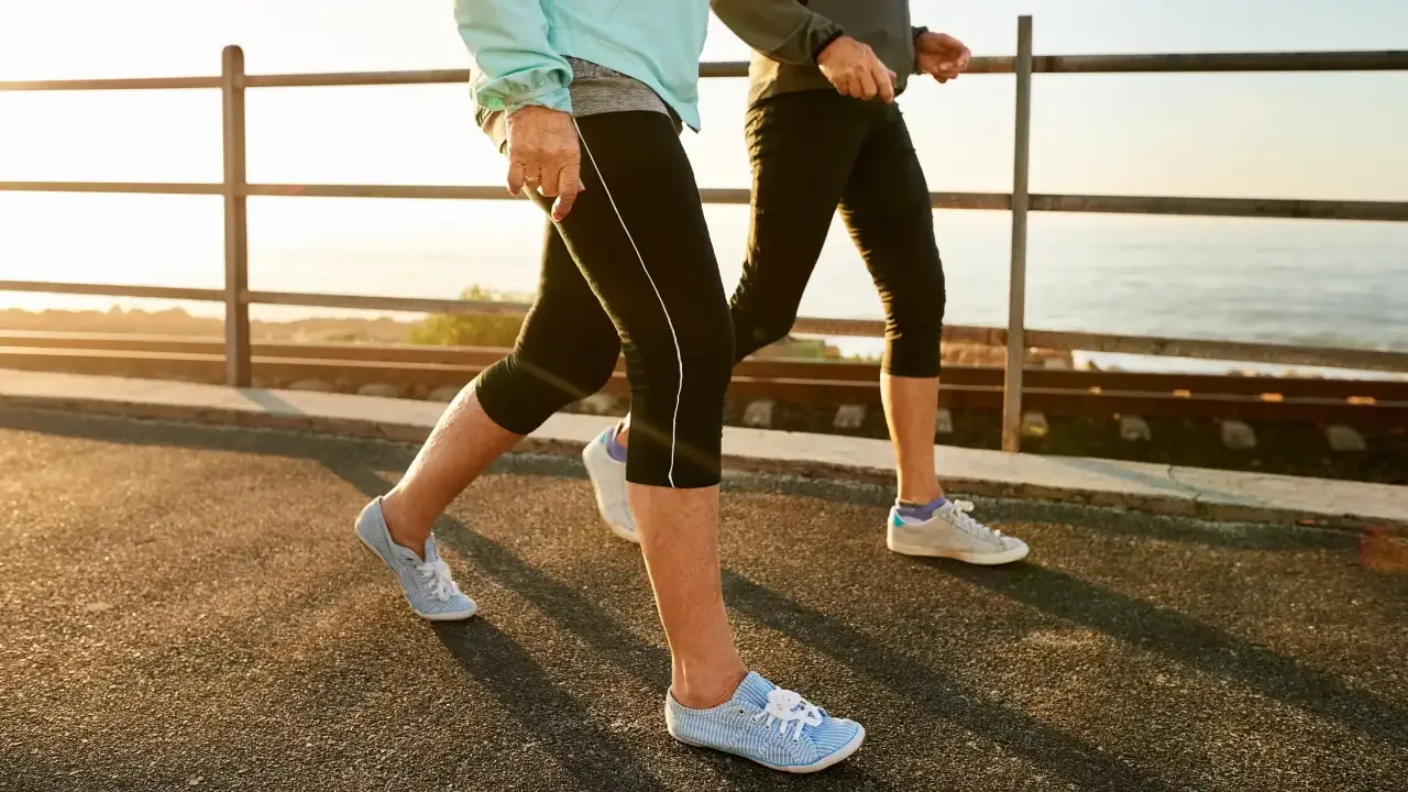 The Japanese Walking Secret: Why This Ancient Habit Is the Key to Modern Longevity