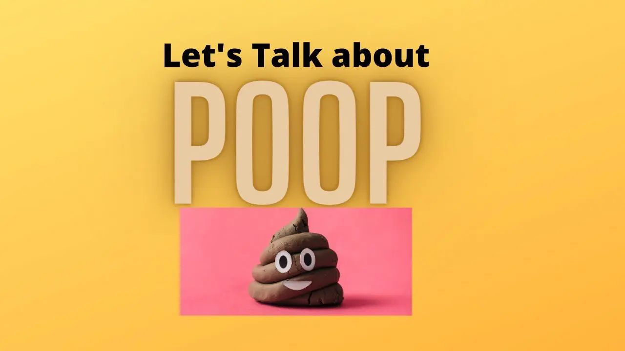 Let’s Talk About Poop: The Honest Guide to Knowing If Yours Is Healthy