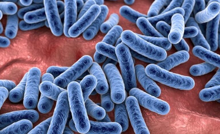 The Microbiome and Me: What Trillions of Tiny Organisms Taught Me About Longevity