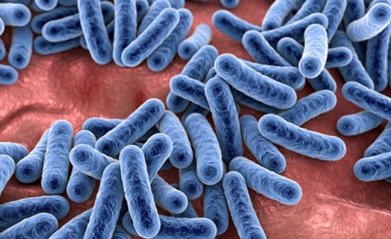 The Microbiome and Me: What Trillions of Tiny Organisms Taught Me About Longevity