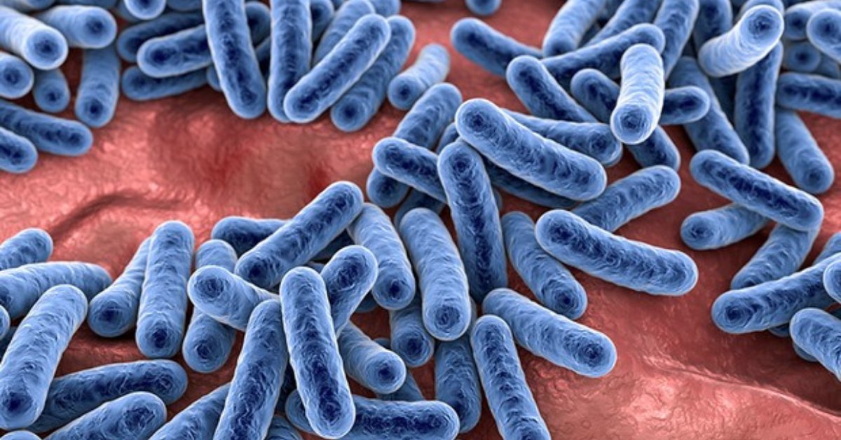 The Microbiome and Me: What Trillions of Tiny Organisms Taught Me About Longevity