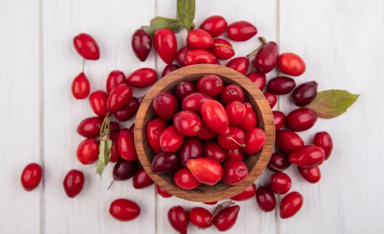 Berberine: A Natural Powerhouse for Men’s Health