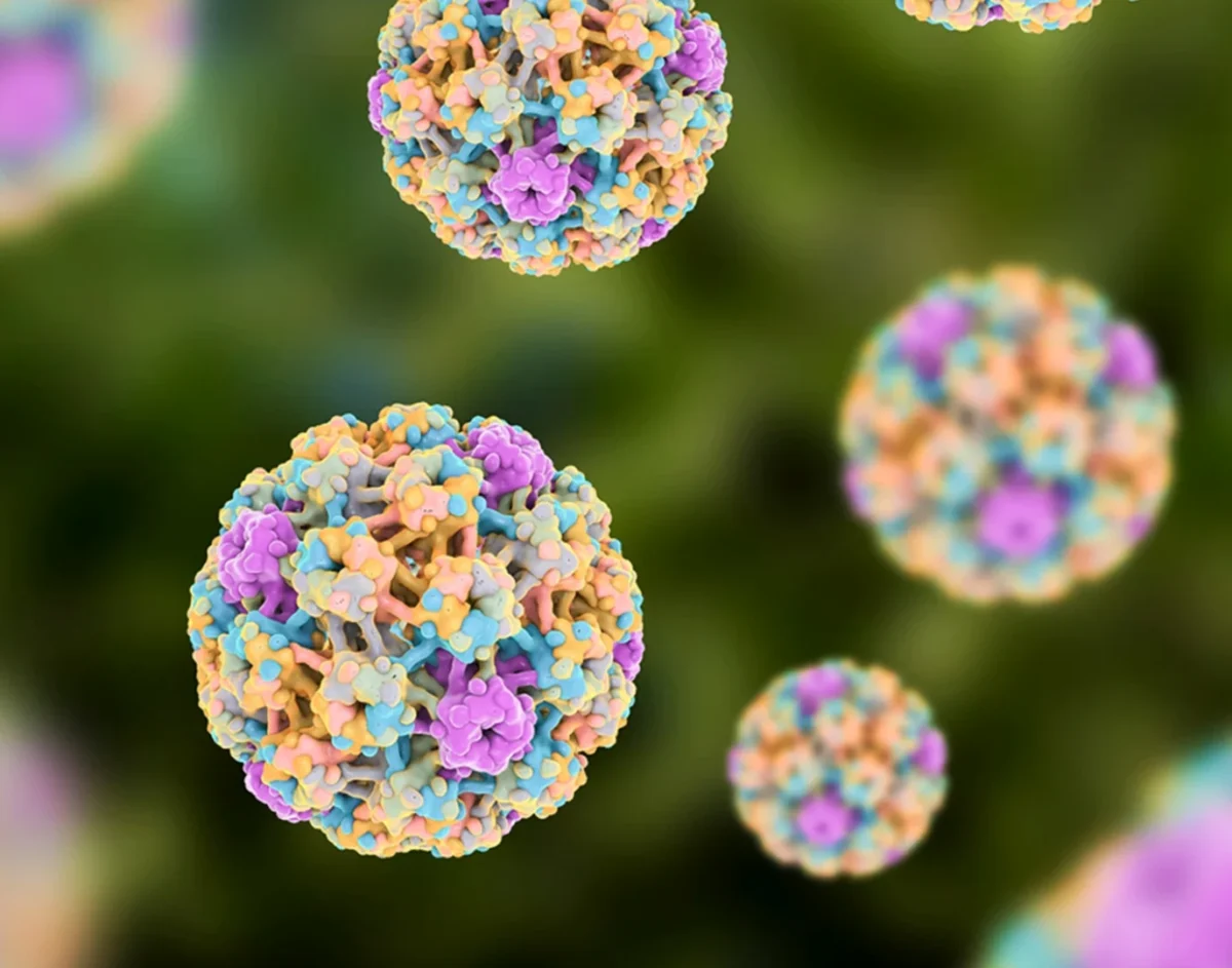 HPV and cancer