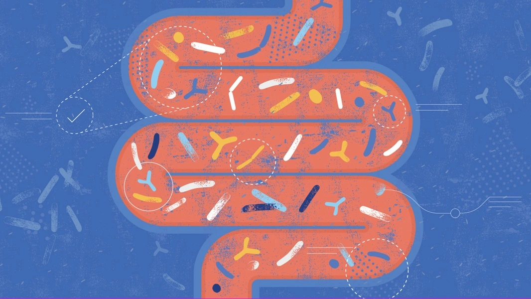 Visualization of insulin and appetite regulation in the body