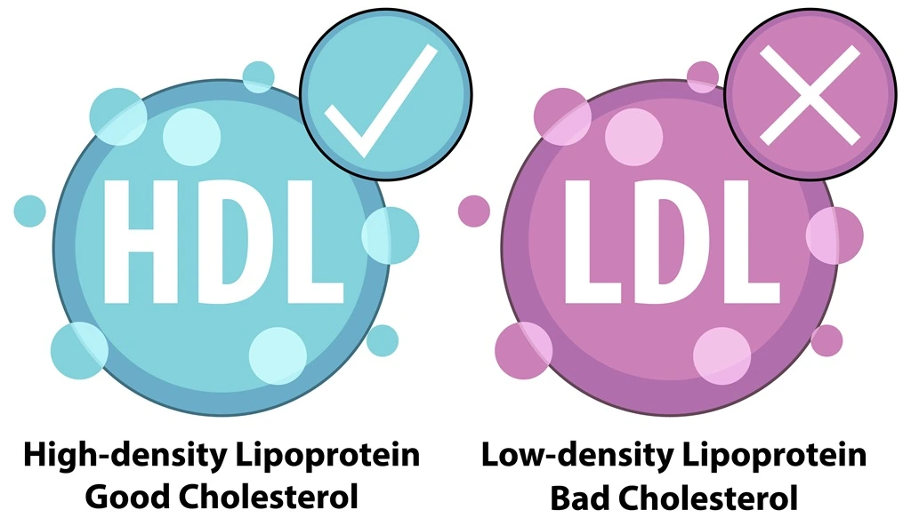 lower LDL without statins

