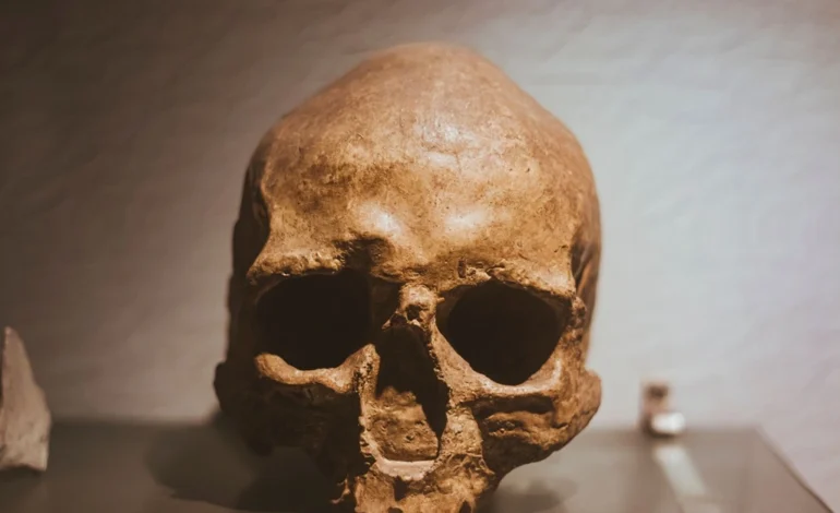 Could Neanderthals Make You Rethink the Adam and Eve Story? Here’s What Science Says