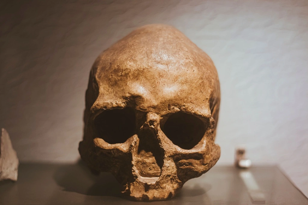 Could Neanderthals Make You Rethink the Adam and Eve Story? Here’s What Science Says